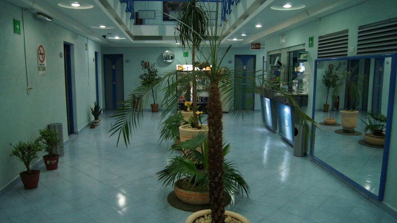 Hotel Muy (Adults Only) Мехико Экстерьер фото